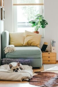 full house renovations living room